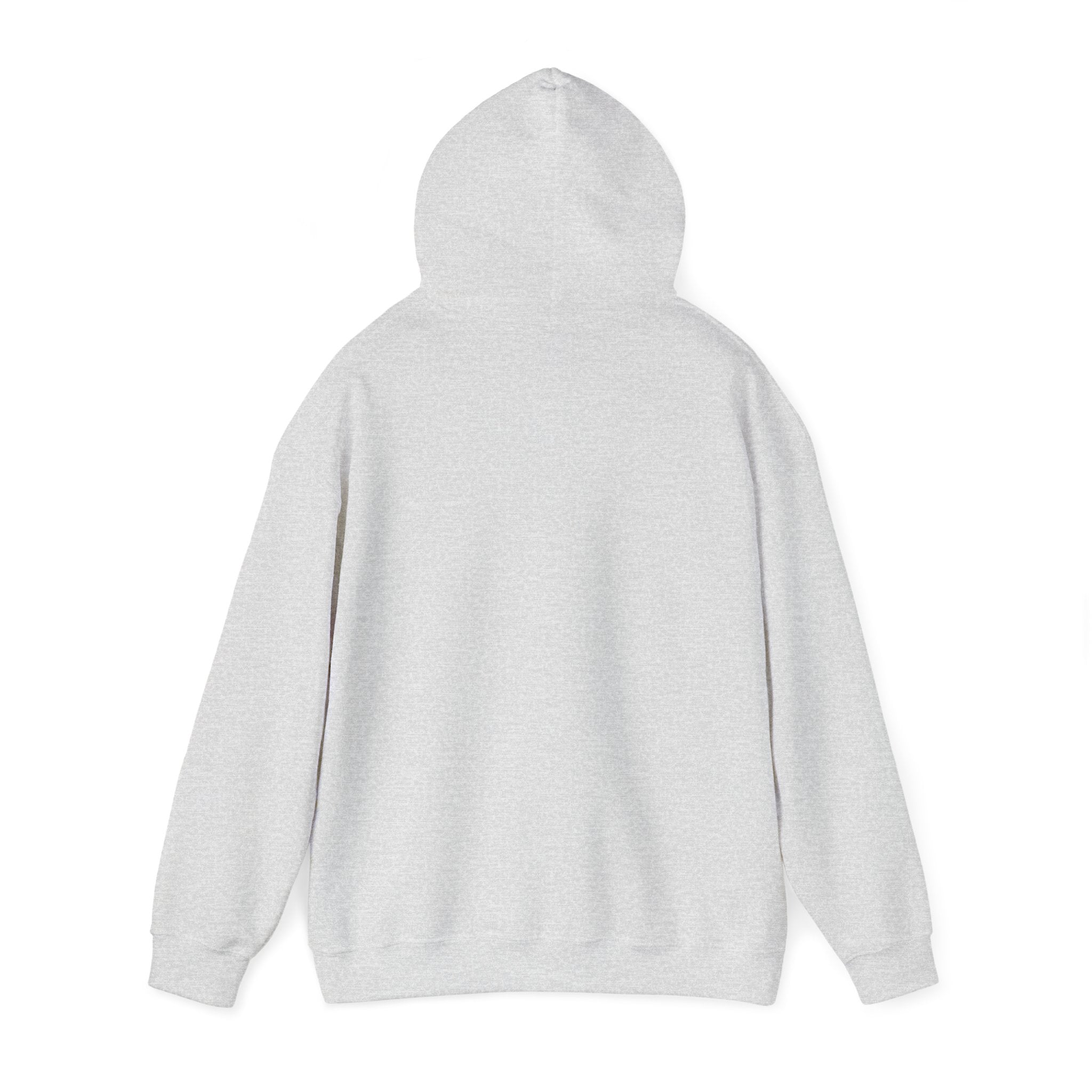 60th Presidential Inauguration January 2025 Unisex Heavy Blend™ Hooded Sweatshirt